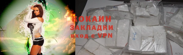 МДПВ Краснослободск