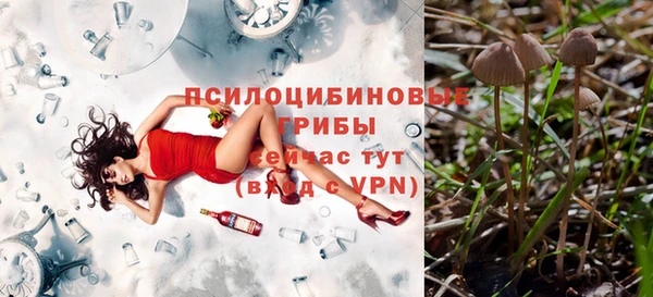 герыч Шарыпово