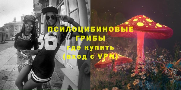 прущая мука Шадринск