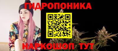 дурь Берёзовский