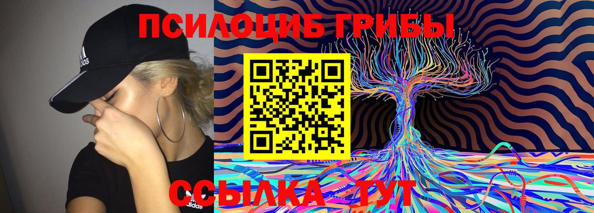 Псилоцибиновые грибы мухоморы Великий Устюг