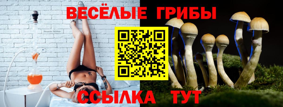 Псилоцибиновые грибы Cubensis Великий Устюг