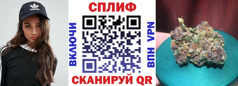 хочу наркоту  Великий Устюг  Канабис гибрид 