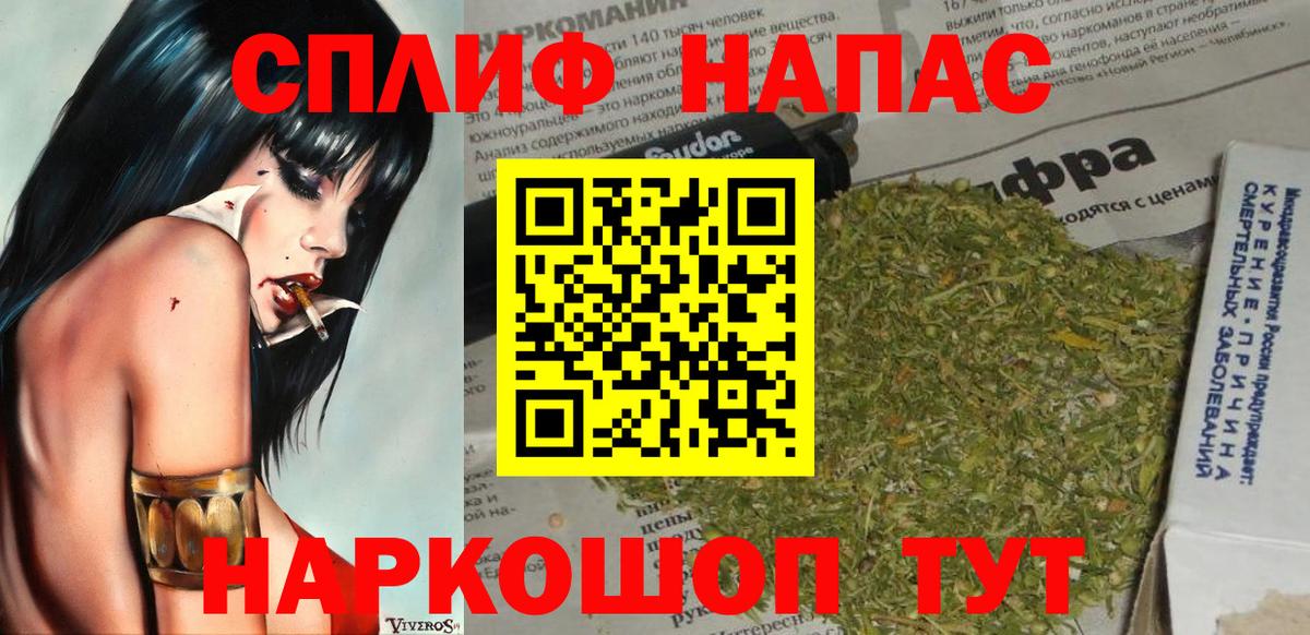 Бошки Шишки конопля  Великий Устюг  Каннабис планчик 